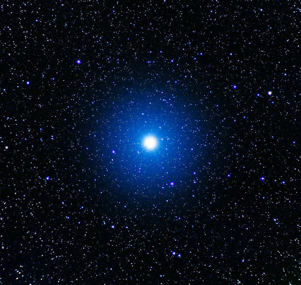 vega